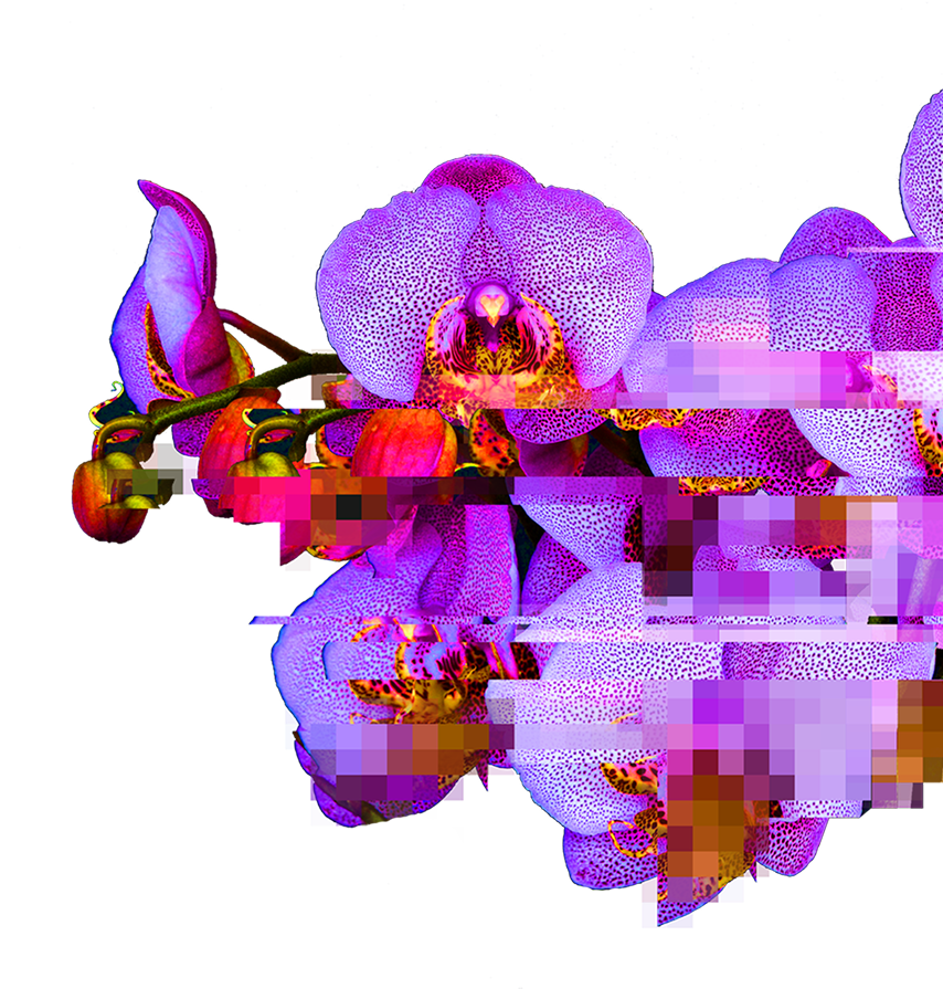 25.10.2022 PING IMPACT STUDIO: SOMEVAIKUTTAJAT VAIKUTTAVUUSVIESTINNÄN LÄHETTILÄINÄ